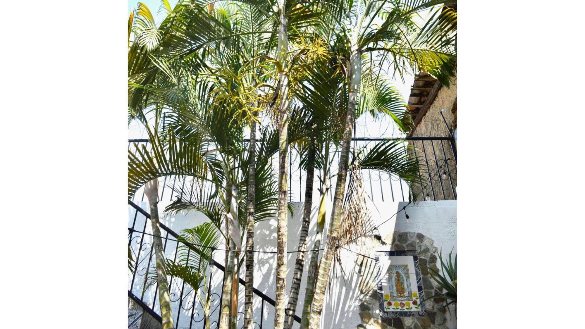 Casa Coco Hostel Santa Ana Exteriör bild
